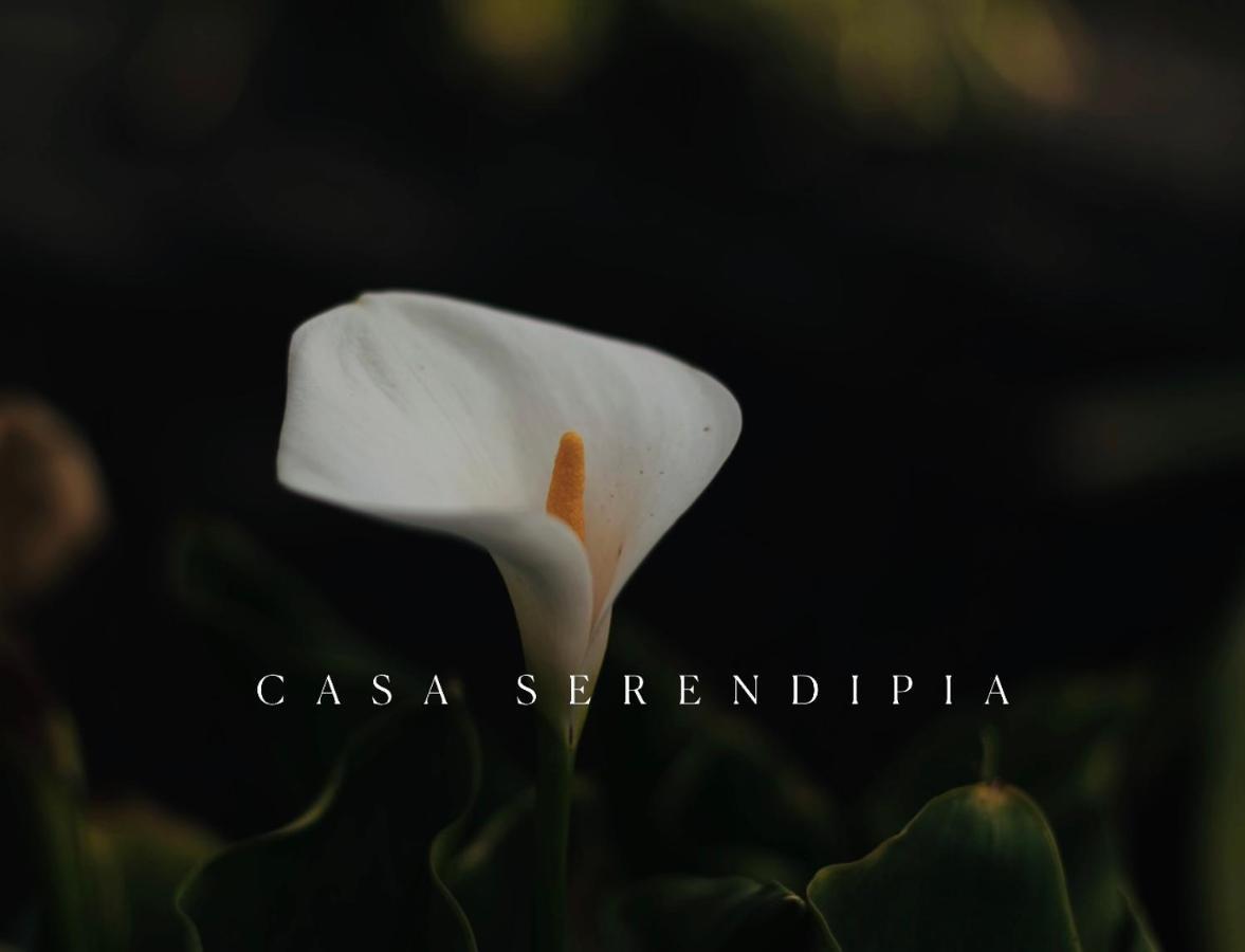Casa Serendipia La Asomada  エクステリア 写真